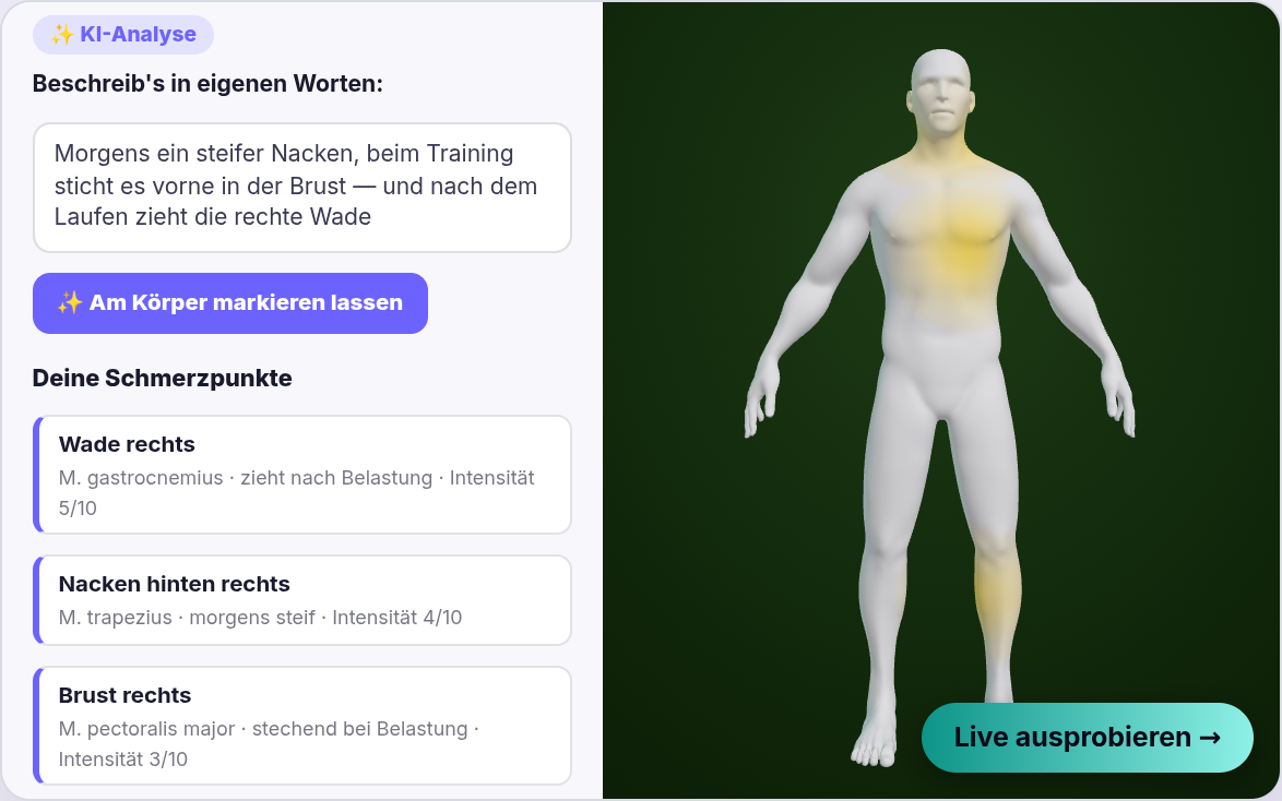 Interaktive 3D-Schmerzanalyse: Körpermodell mit markierbaren Schmerzpunkten